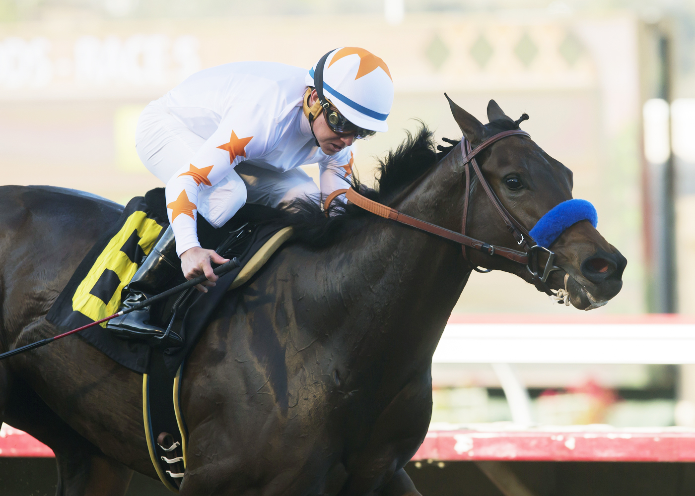 Dream Tree wins the 2017 Desi Arnaz Stakes