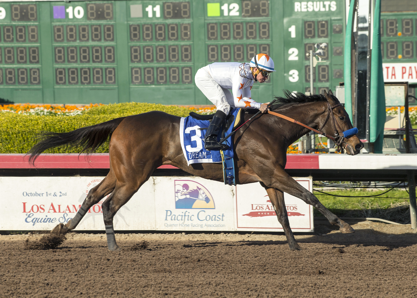 Dream Tree wins the 2017 Starlet Stakes