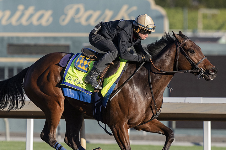 Dream Tree trains at Santa Anita on Dec. 15