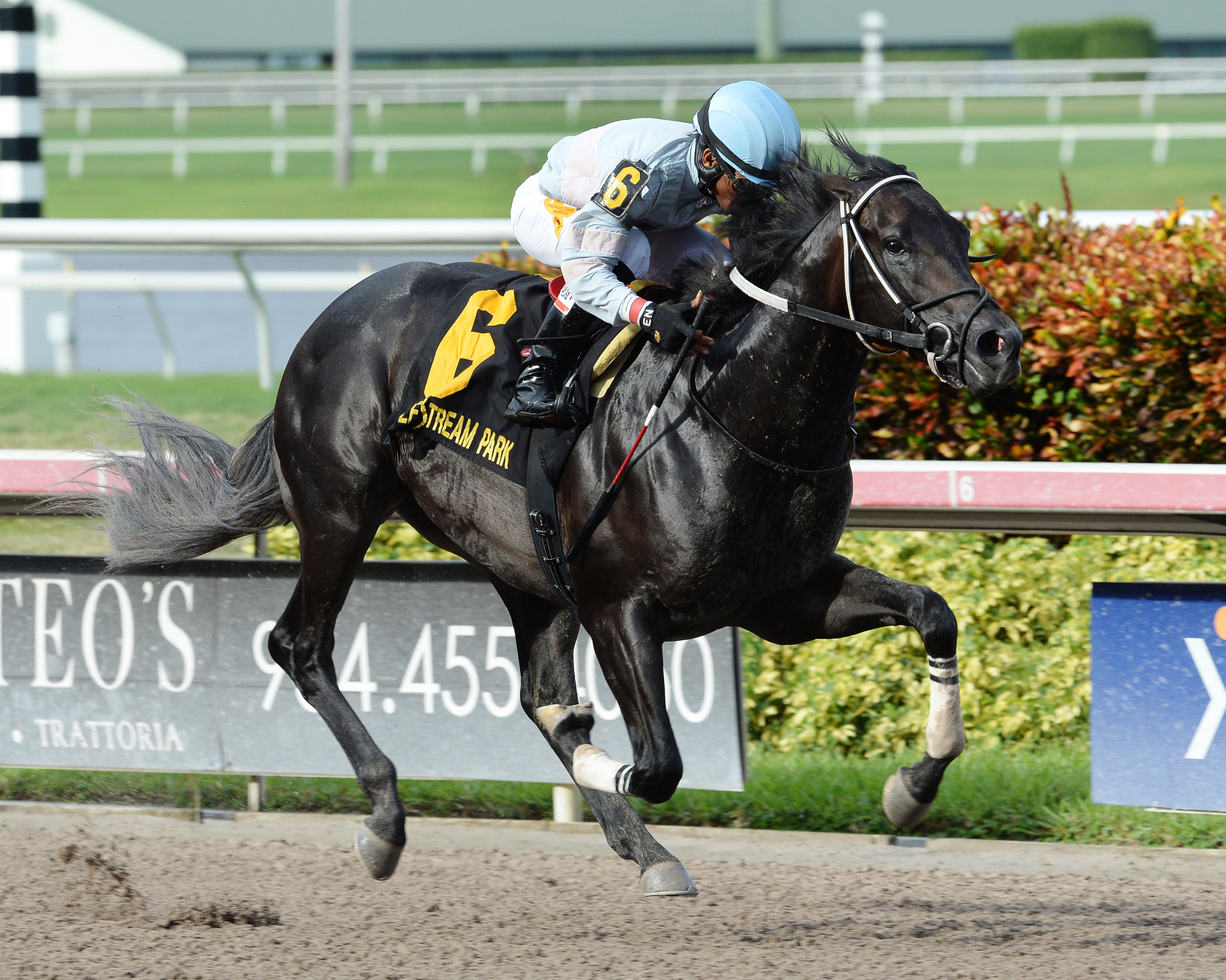Dream of Me wins the Florida Sire Dr. Fager Stakes
