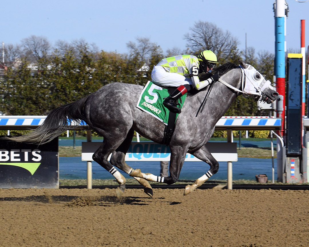 Dream Bigger wins an April 2 claiming race at Aqueduct