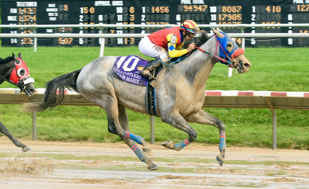 Delaware Park