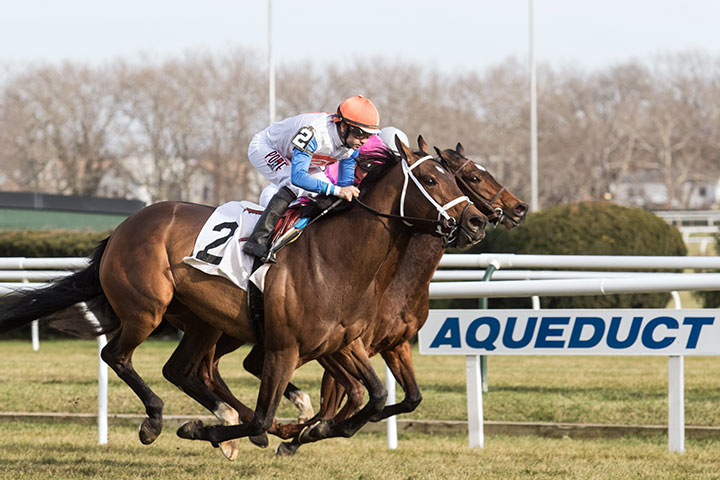 Dream Passage (No. 2) wins a Dec. 1, 2018 Aqueduct allowance race