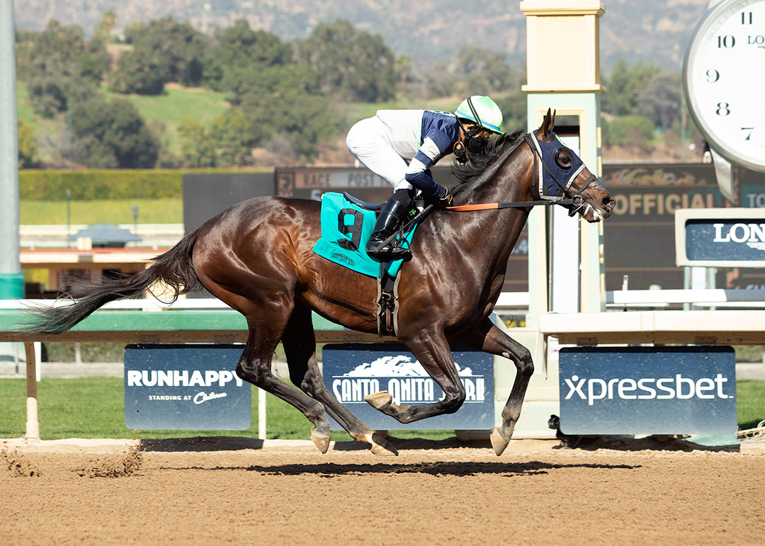 Dream Shake wins a Feb. 7 maiden race at Santa Anita