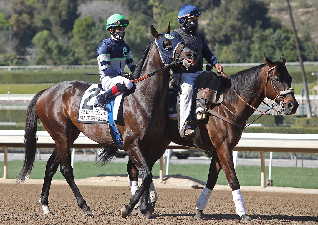 Dream Shake at the San Felipe Stakes at Santa Anita Park