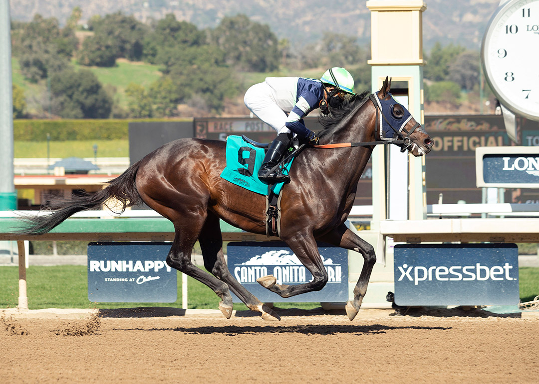 Dream Shake wins a Feb. 7 maiden race at Santa Anita