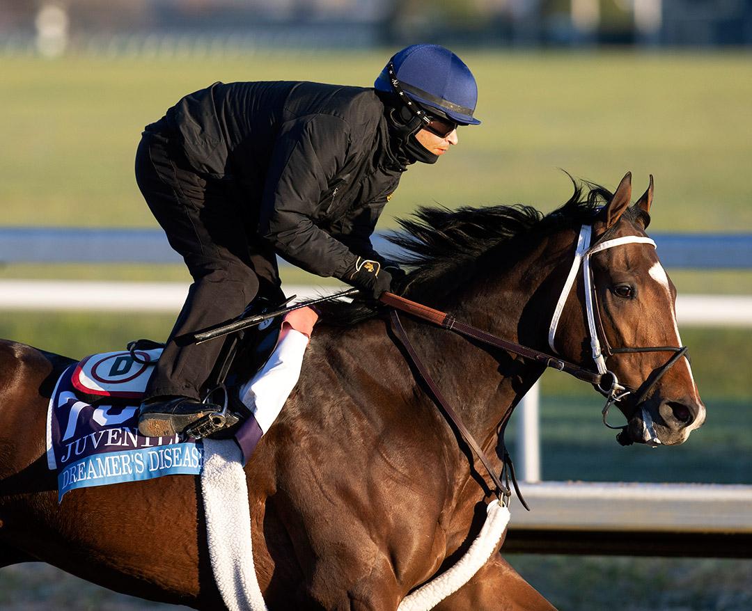 Dreamer's Disease trains at Keeneland Racecourse on Oct. 31