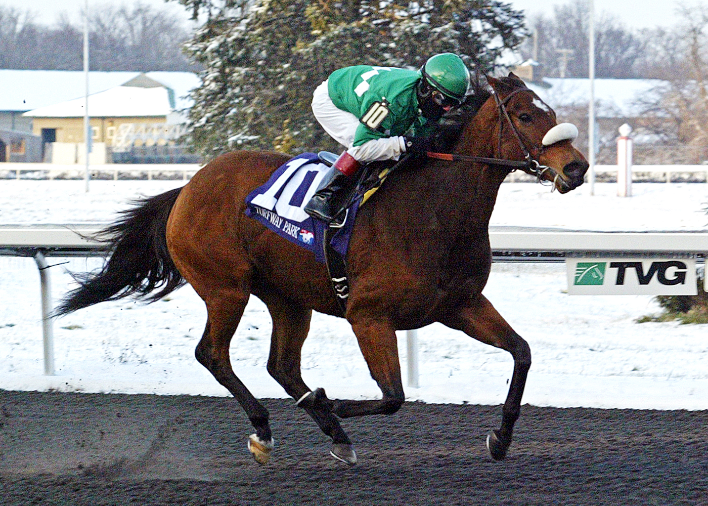 Dreamin Big wins the Holiday Inaugural
