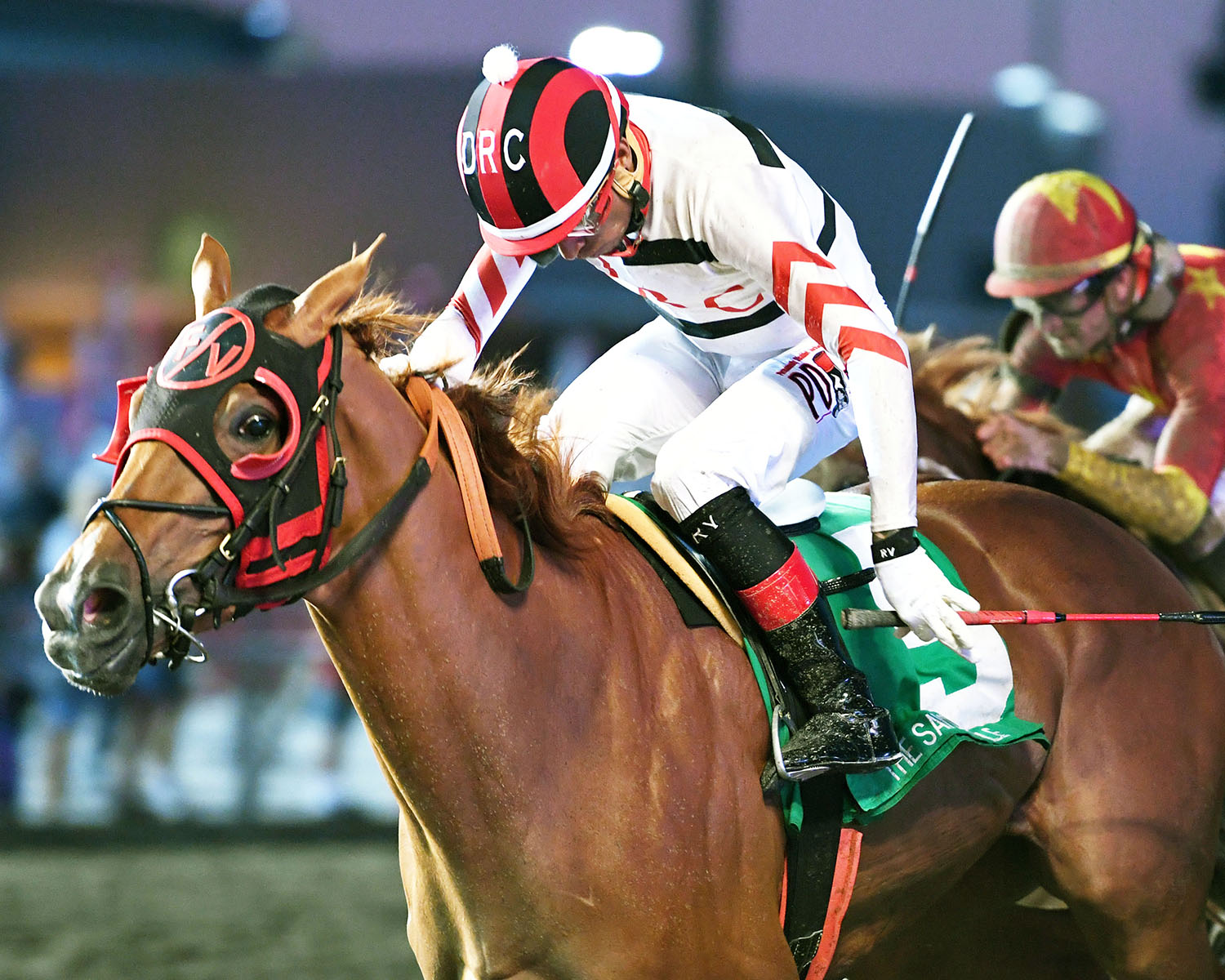 Dreamin wins the 2017 Saylorville Stakes