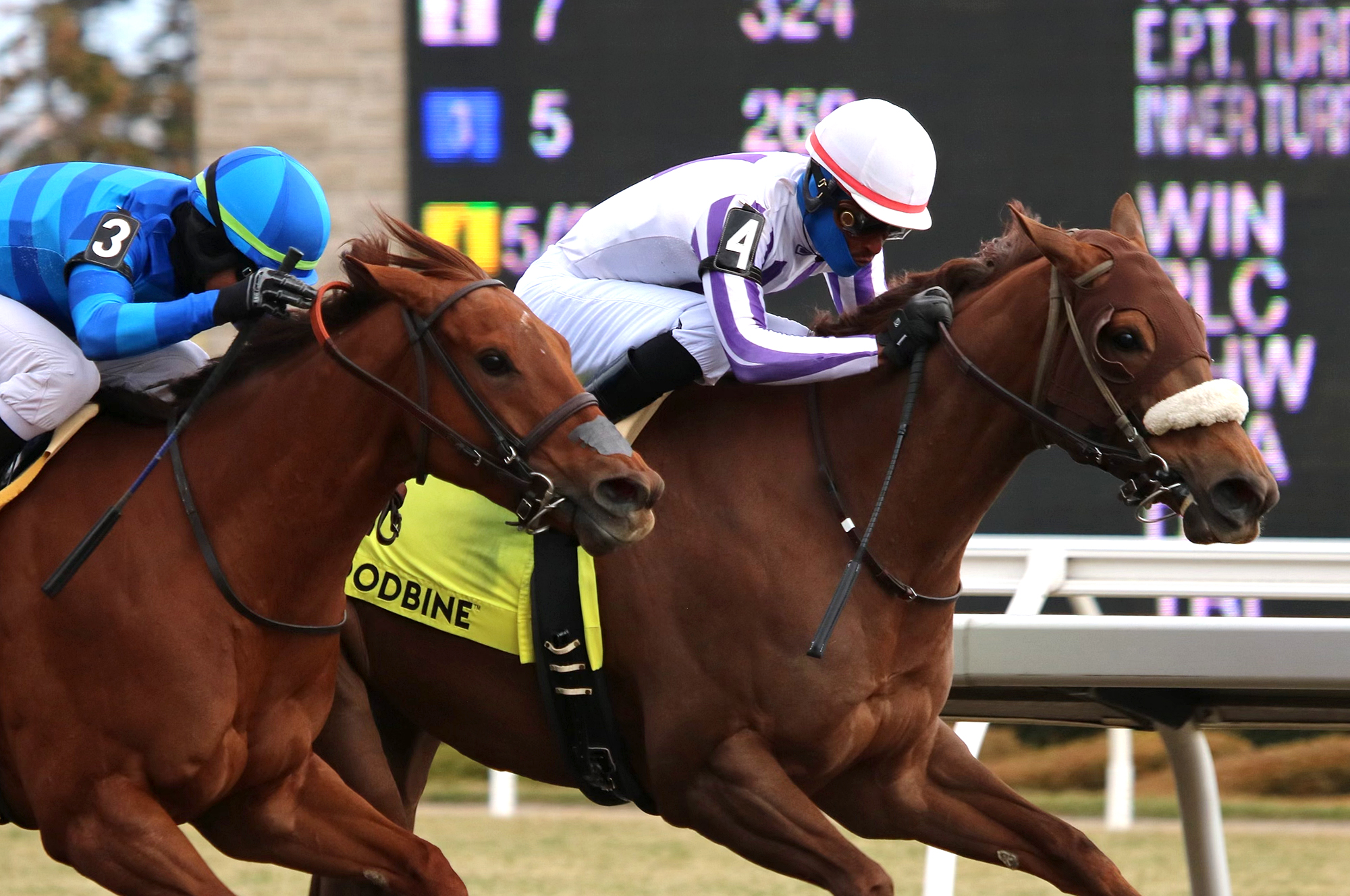 Dreaming of Drew (right) wins Long Branch 4-16-2022