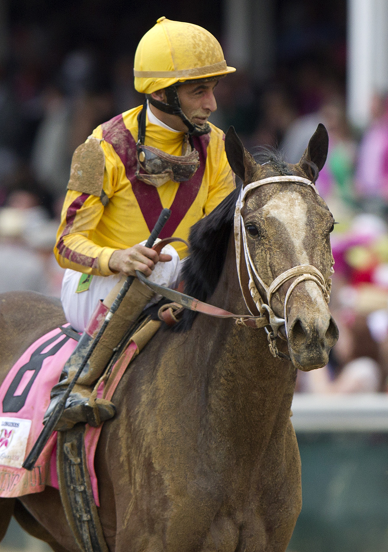 Belmont Park: Pletcher fillies possible for Belmont Stakes