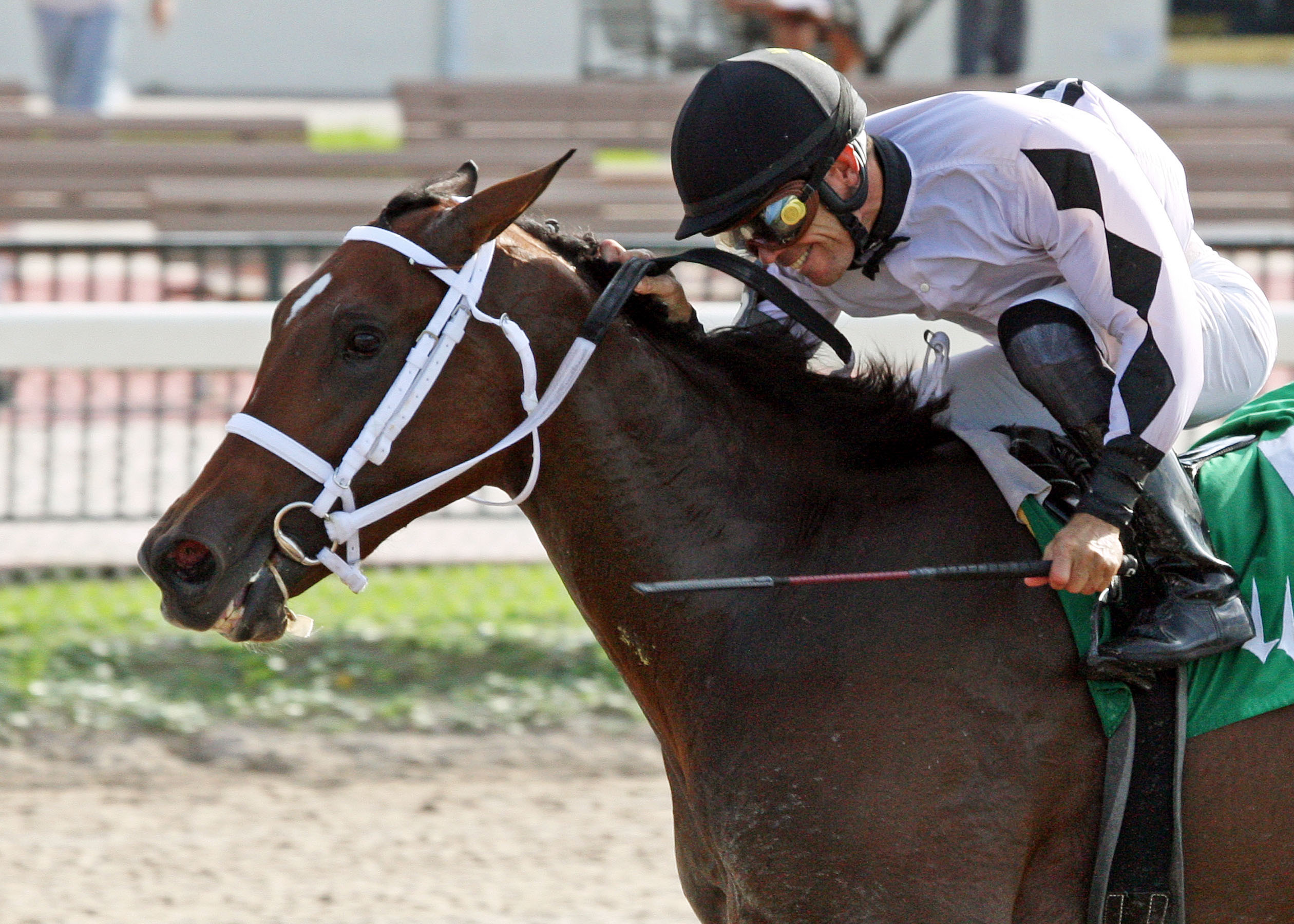 Dreaming of Sophia/Cassidy Stakes