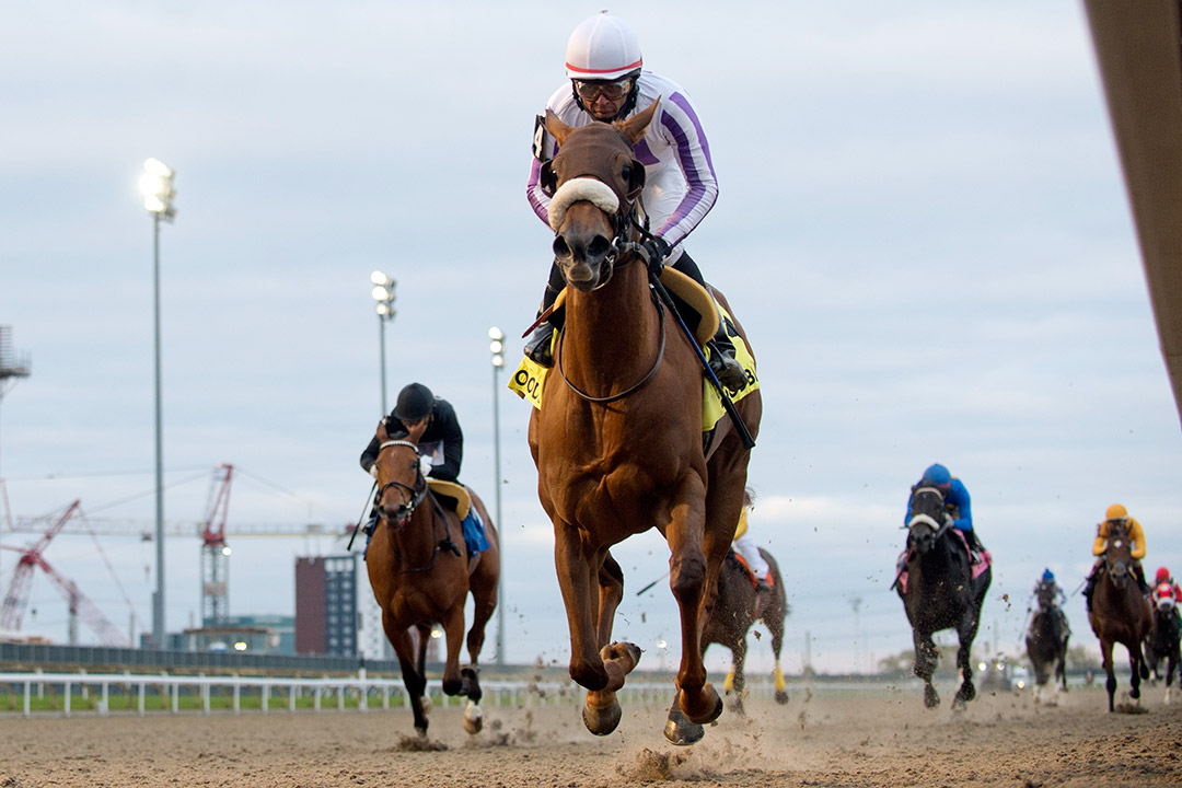 Dreaming of Drew wins the 2021 Princess Elizabeth Stakes at Woodbine