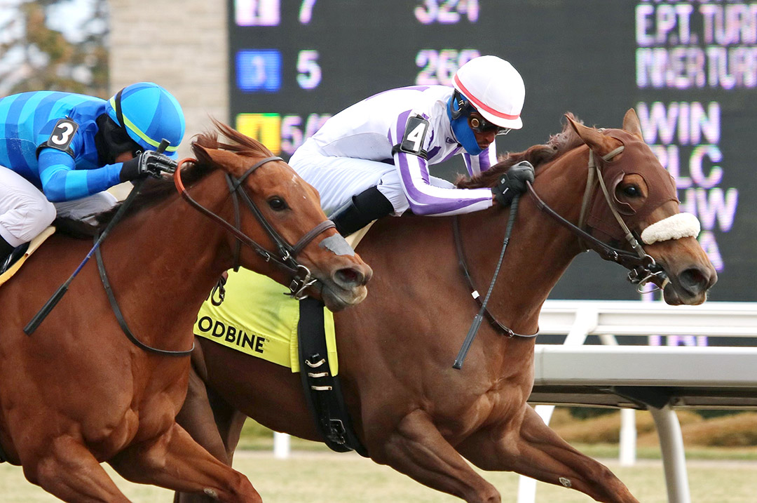 Dreaming of Drew (inside) wins the 2022 Long Branch Stakes at Woodbine Racetrack