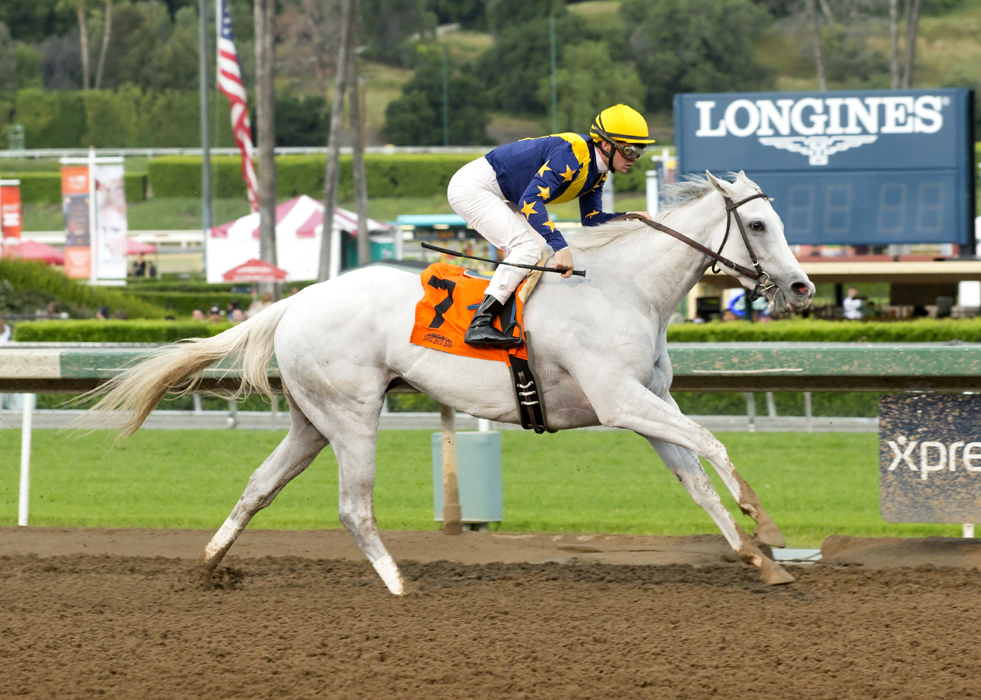 Dreamologist 4-10-2016