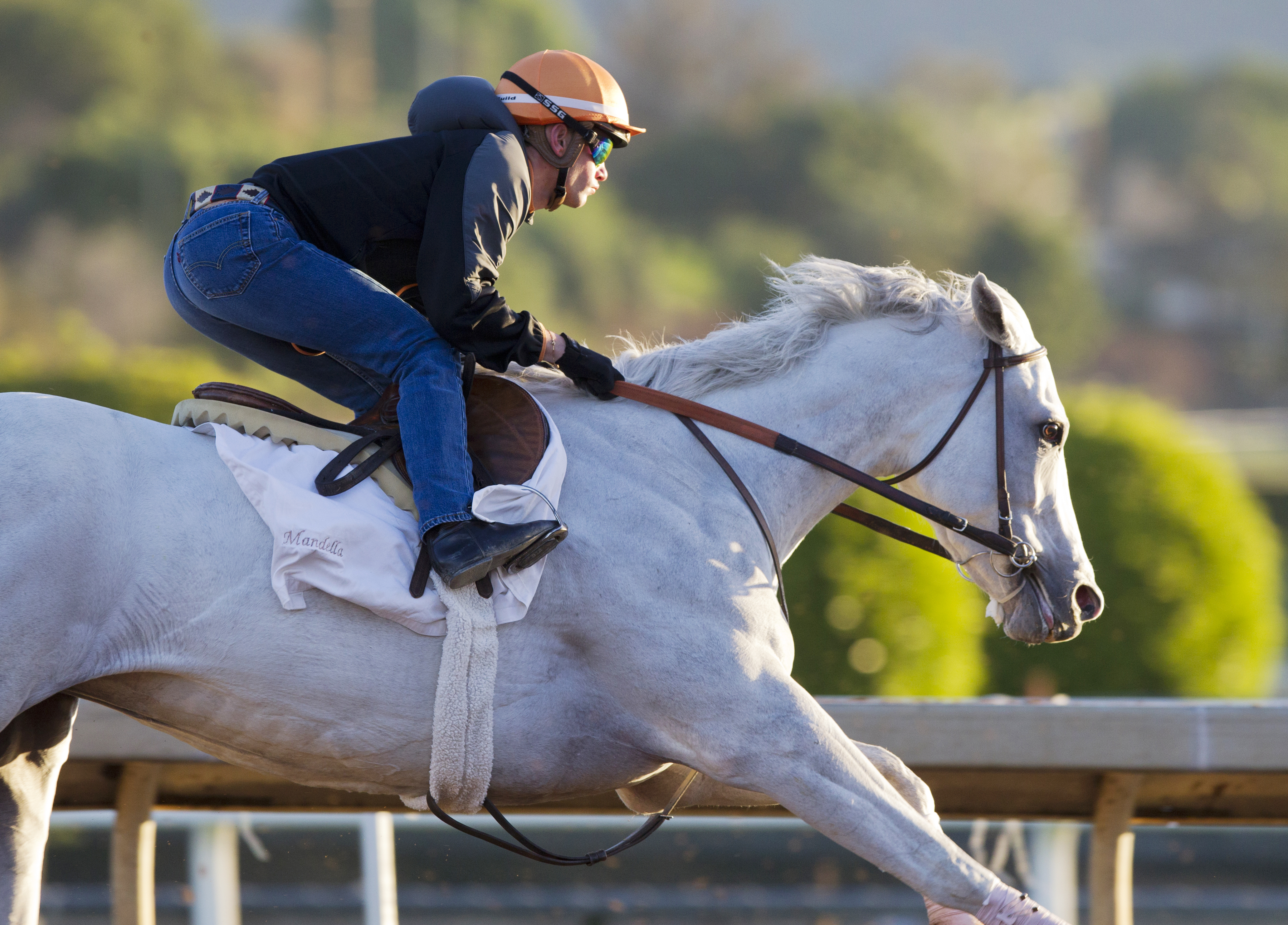 Dreamologist trains at Santa Anita in March