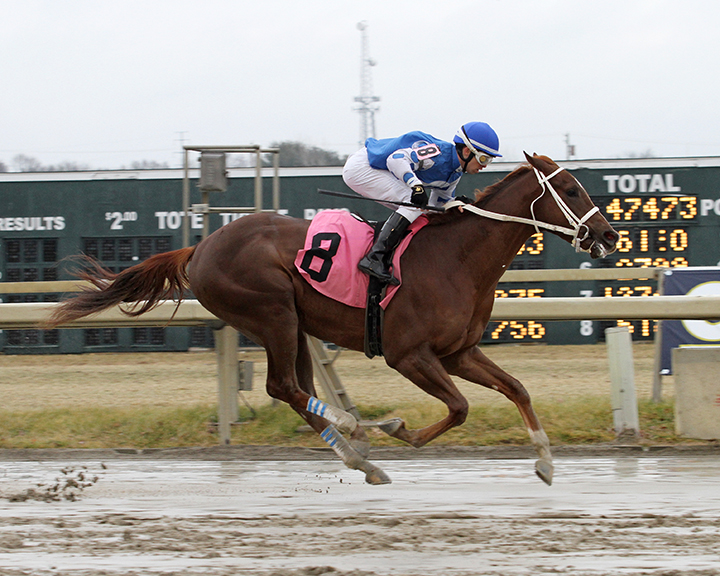 Dreams Untold wins a Jan. 4 maiden race at Parx