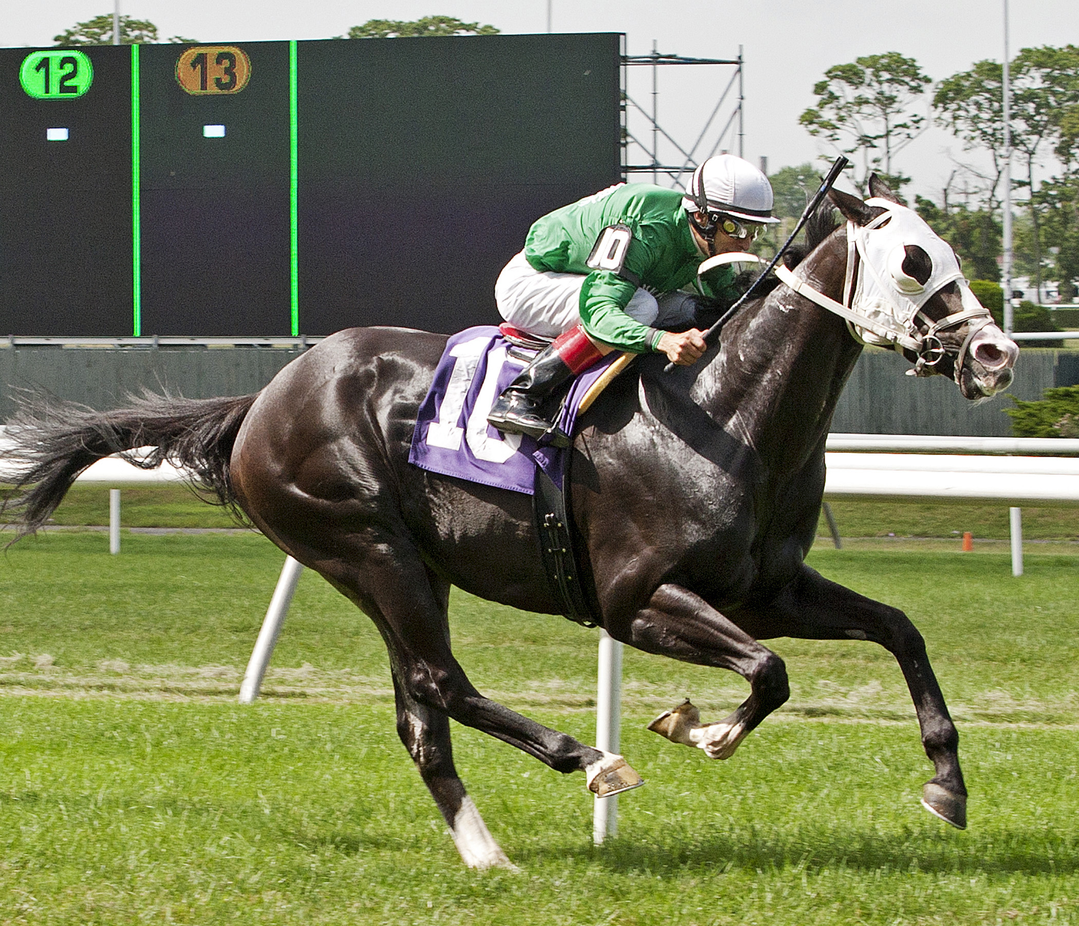 Dreamsgonewild wins an allowance race