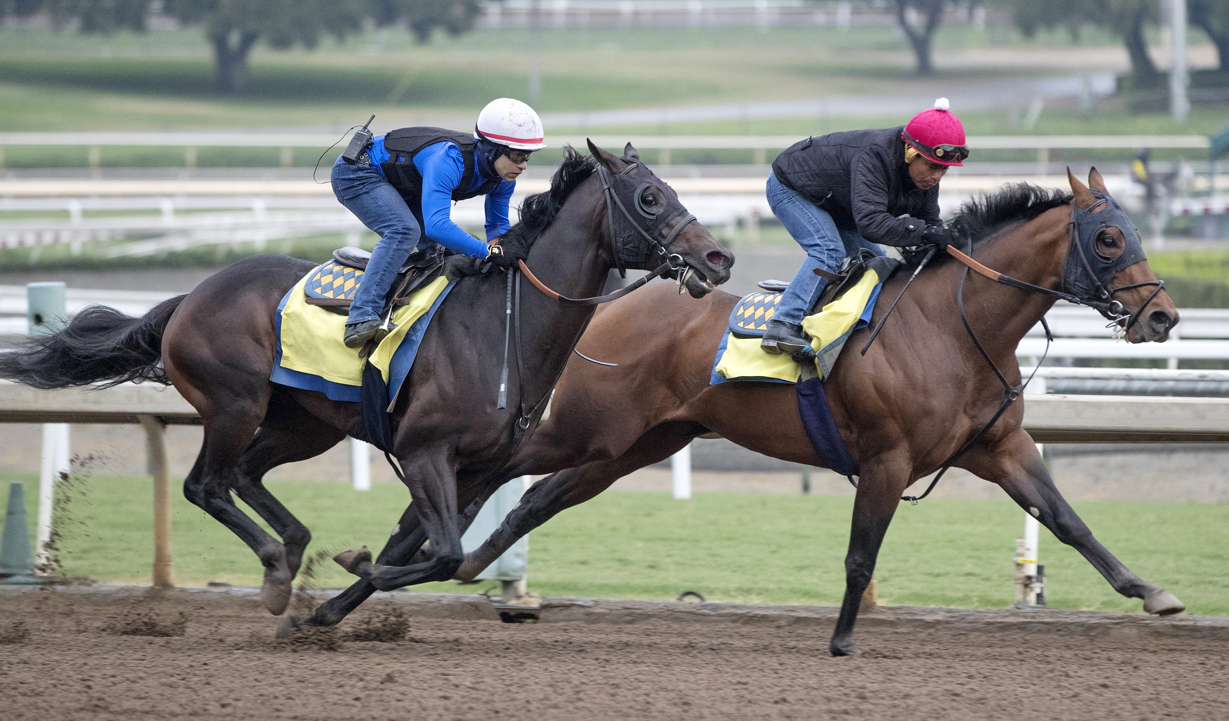 Drefong works with Ten Blessings at Santa Anita on Oct. 24
