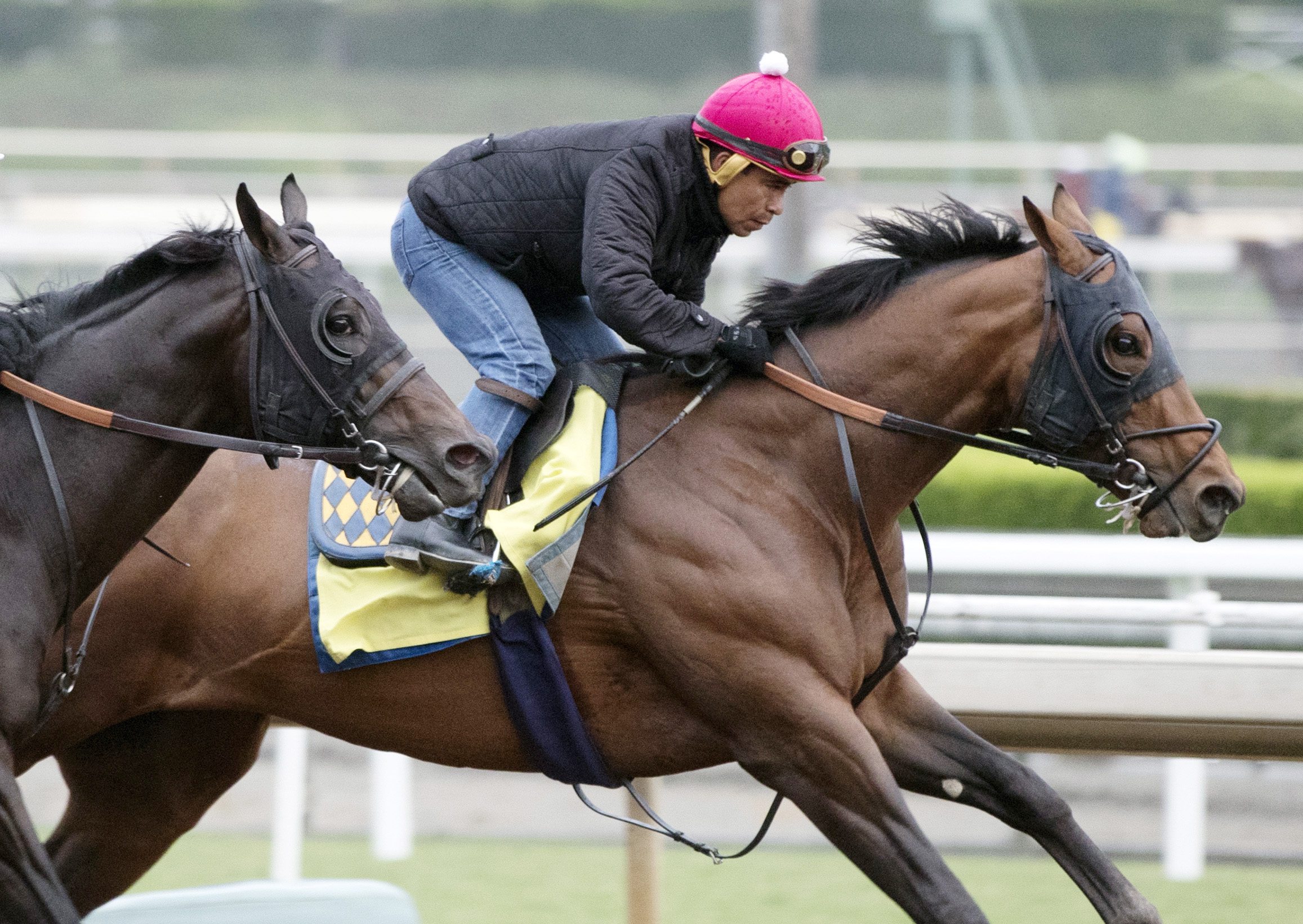 Drefong trains at Santa Anita on Oct. 24