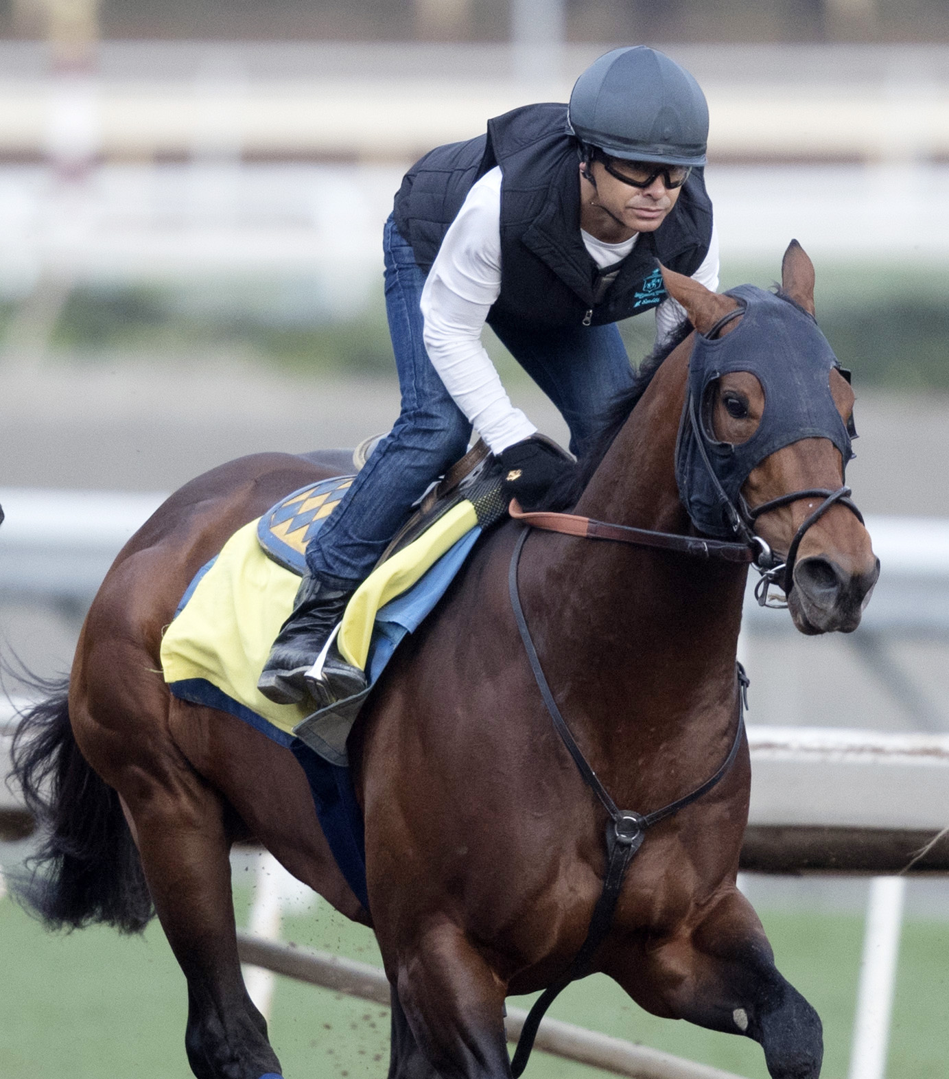 Drefong trains at Santa Anita Park on Feb. 10