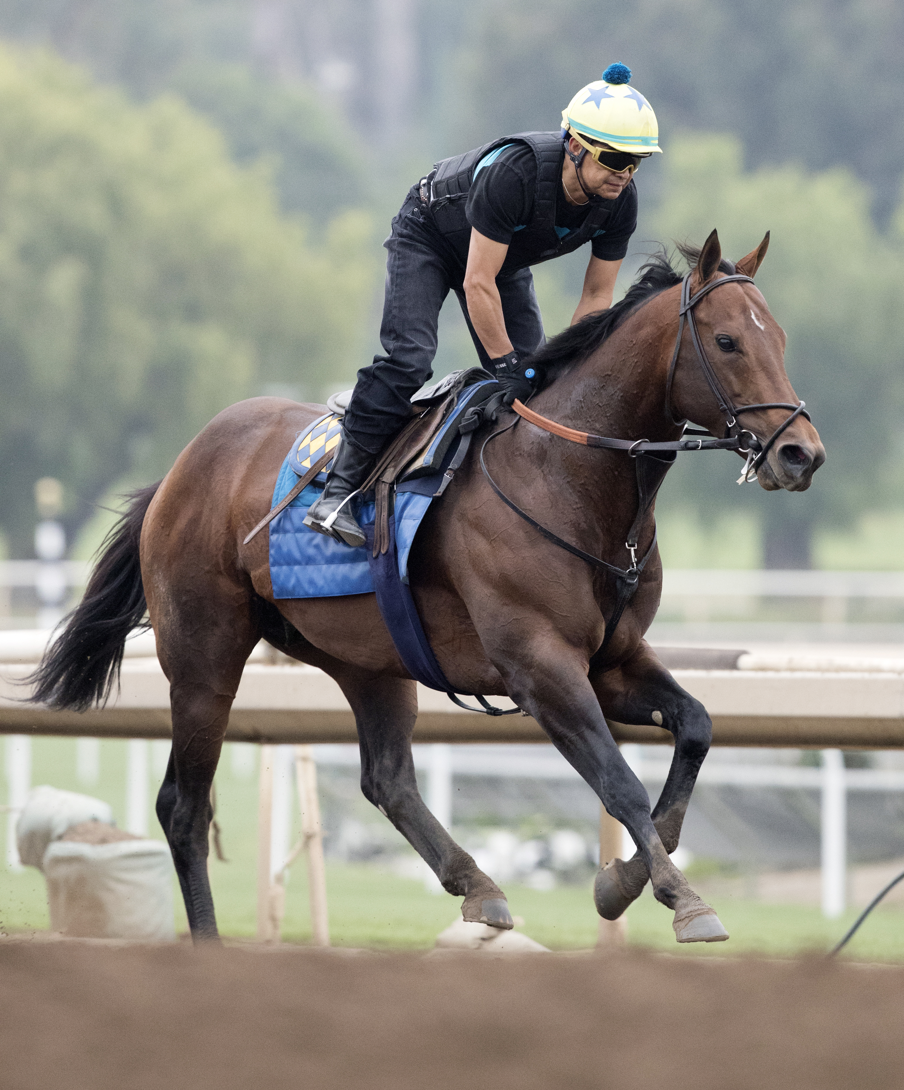 Drefong trains at Santa Anita on June 30