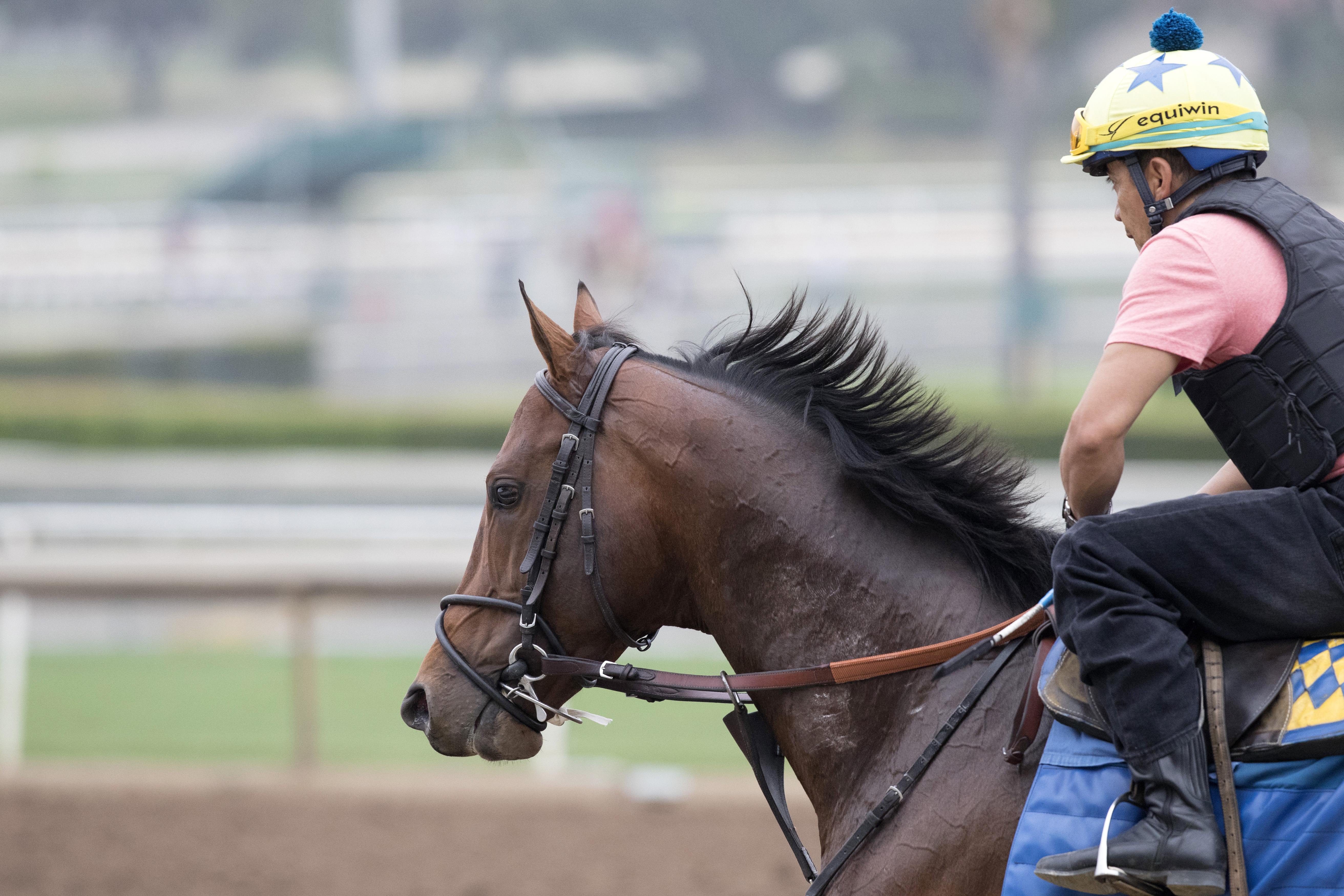 Drefong at Santa Anita on July 1, 2017