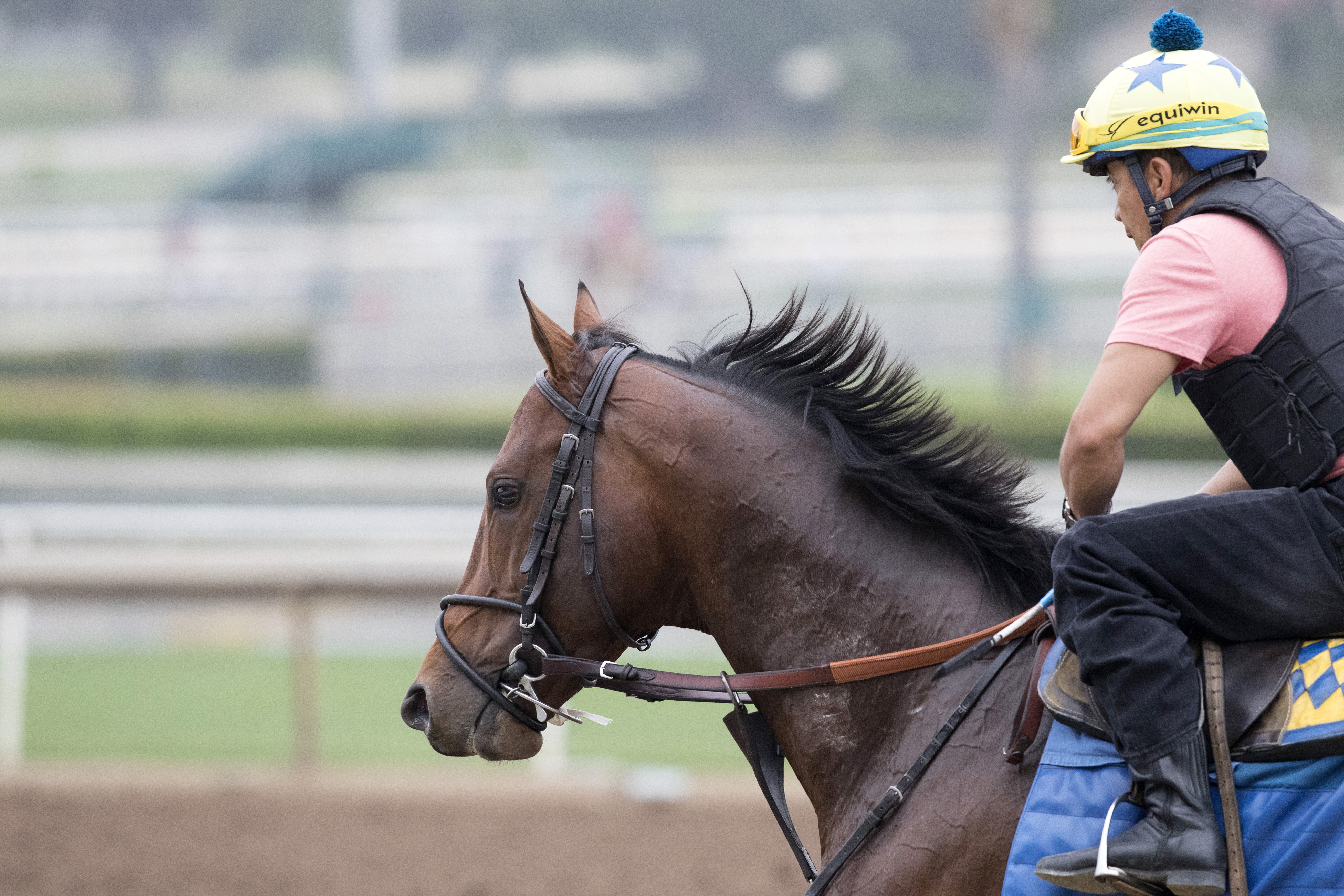 Drefong at Santa Anita on July 1, 2017