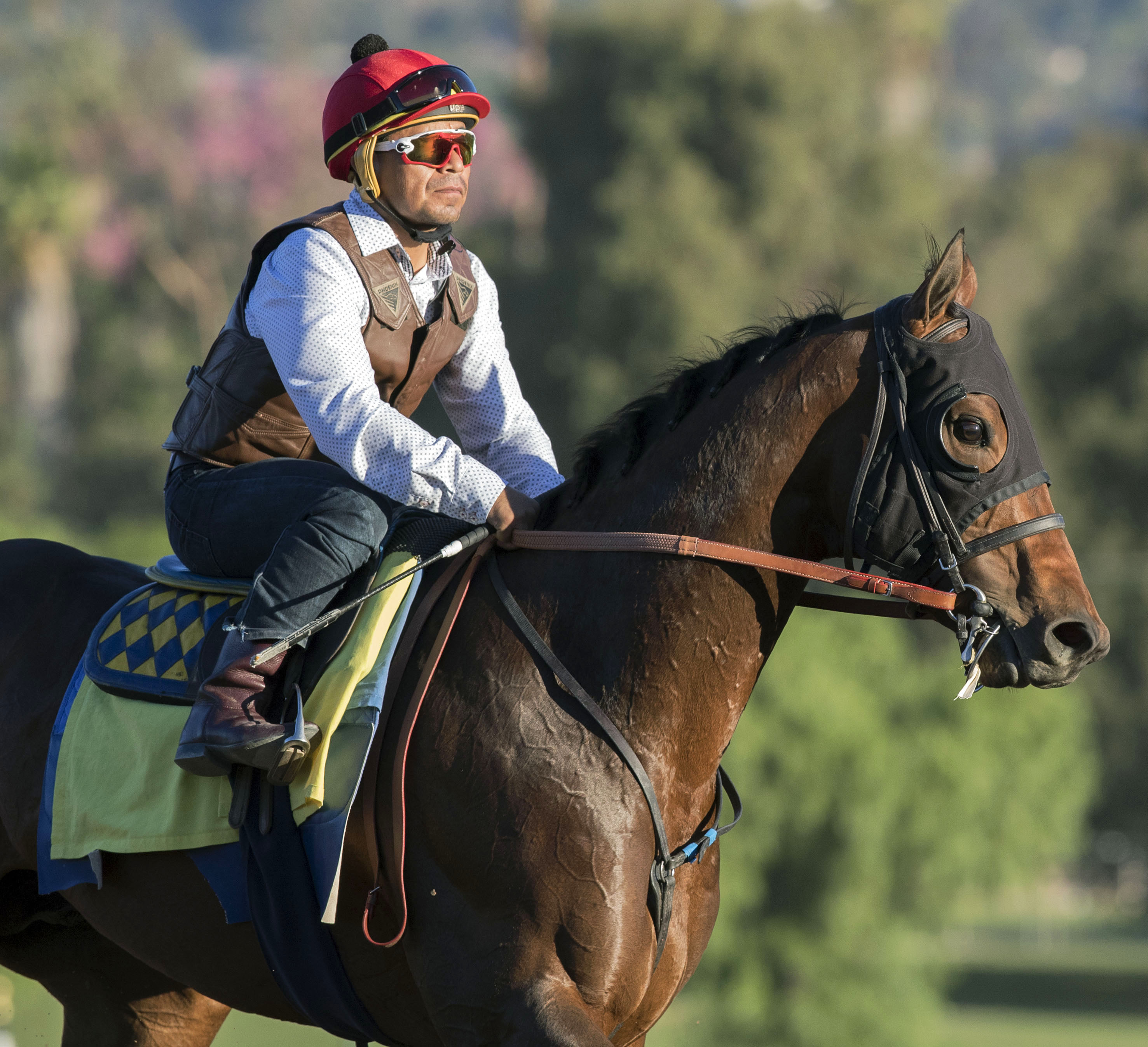Drefong at Santa Anita on Oct. 23