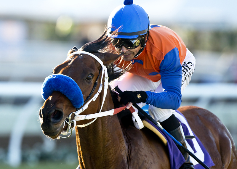Dressed in Hermes wins the Cecil B. Demille