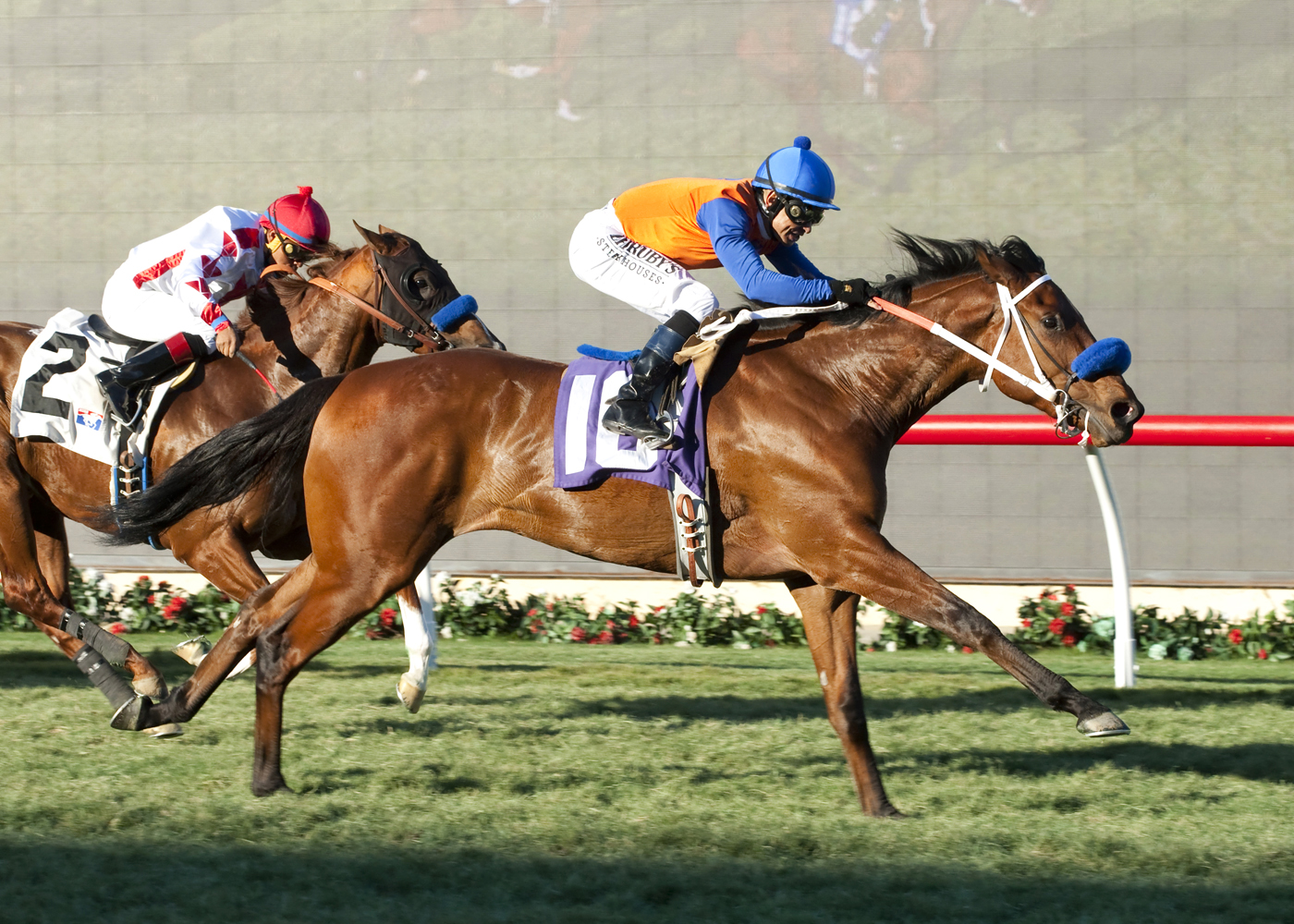 Dressed in Hermes wins the Cecil B. Demille