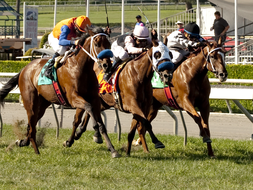 I'malreadythere finishes second in the Zuma Beach Stakes