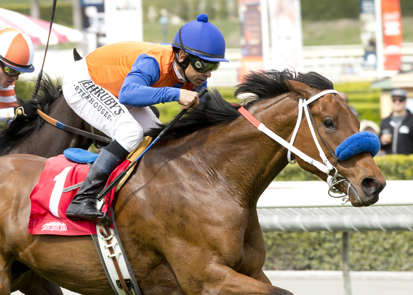 Dressed in Hermes wins the Pasadena Stakes