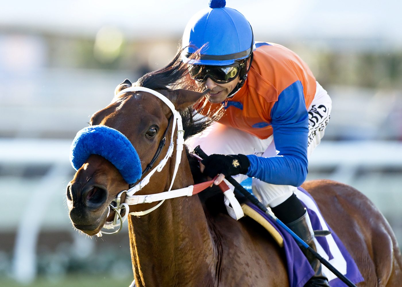 Dressed in Hermes wins the Cecil B. Demille