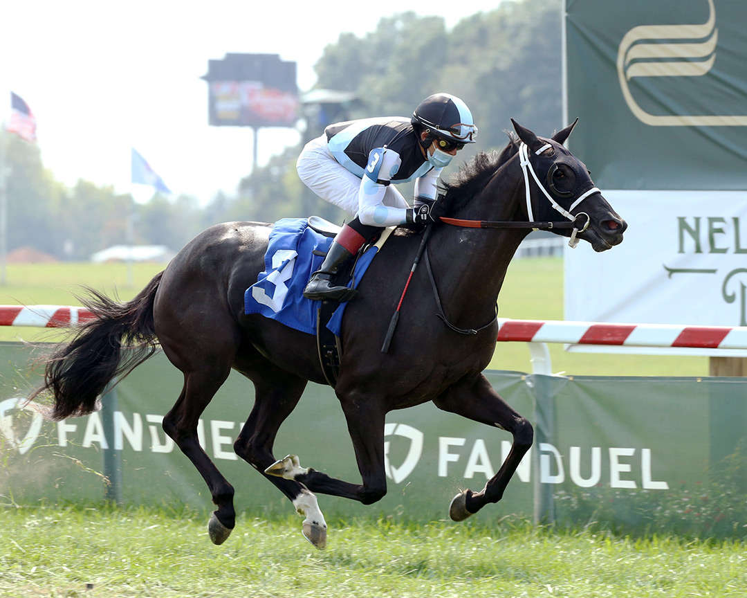 Dressed wins a Sept. 12 allowance at Kentucky Downs