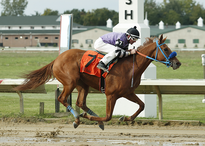 Drillit wins the 2018 John W. Galbreath Stakes