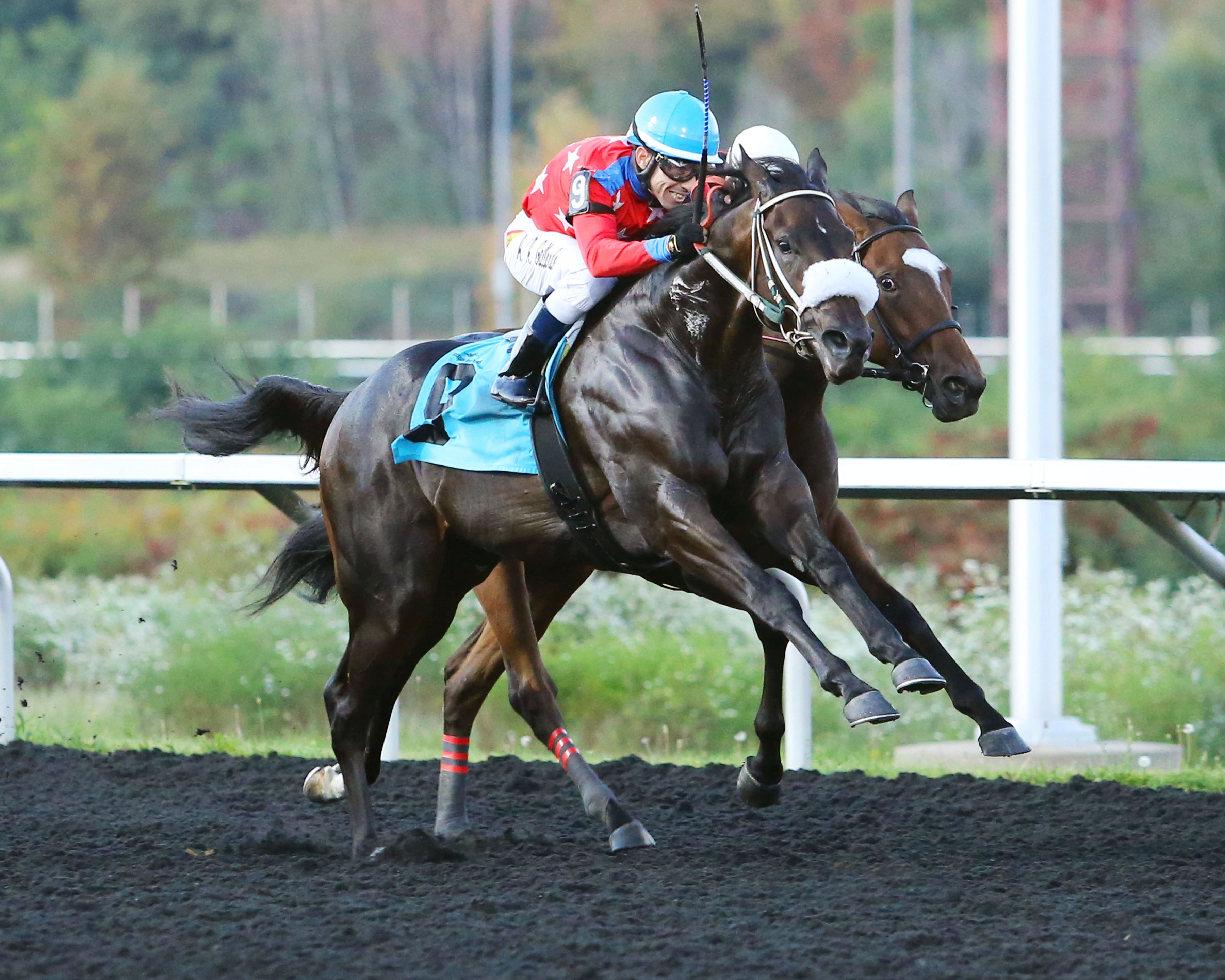 Driven By History wins the 2017 Fitz Dixon, Jr. Memorial Juvenile Stakes