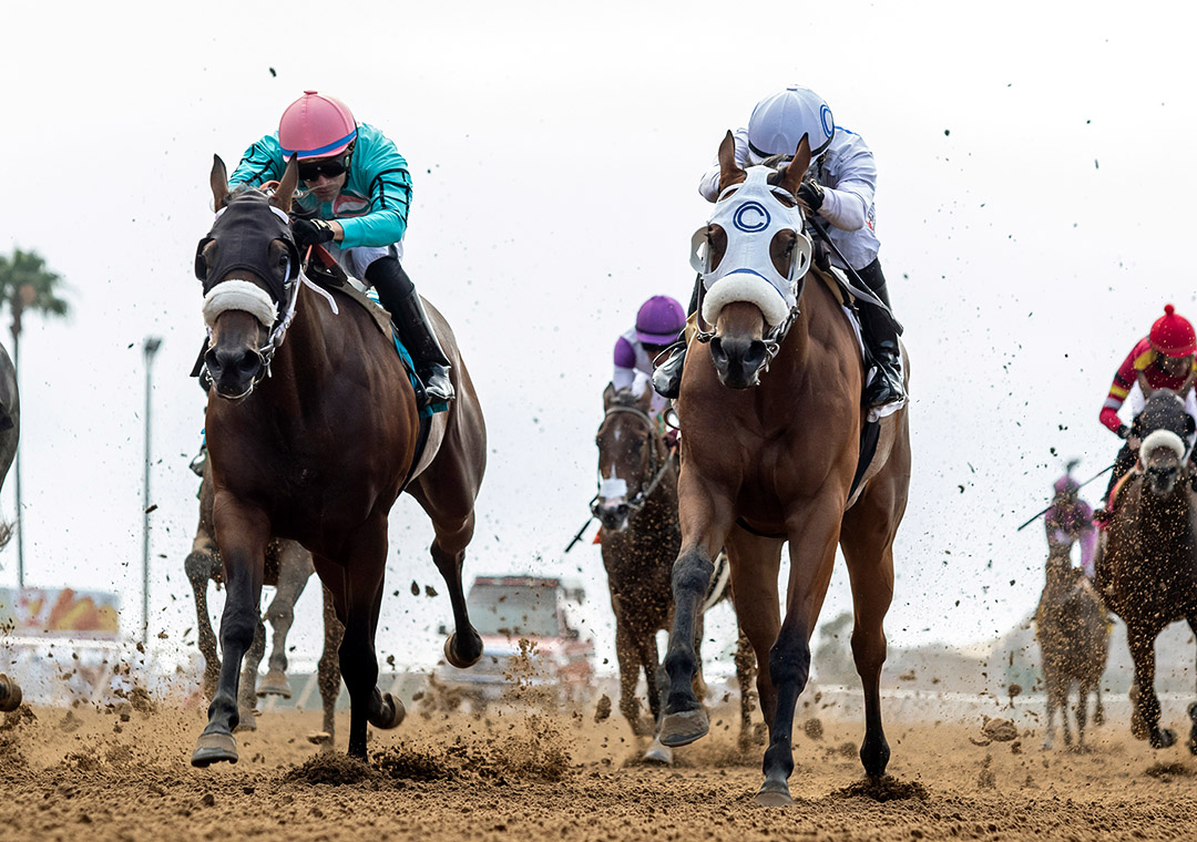 Drizella (left) finishes second in the 2021 CTBA Stakes at Del Mar