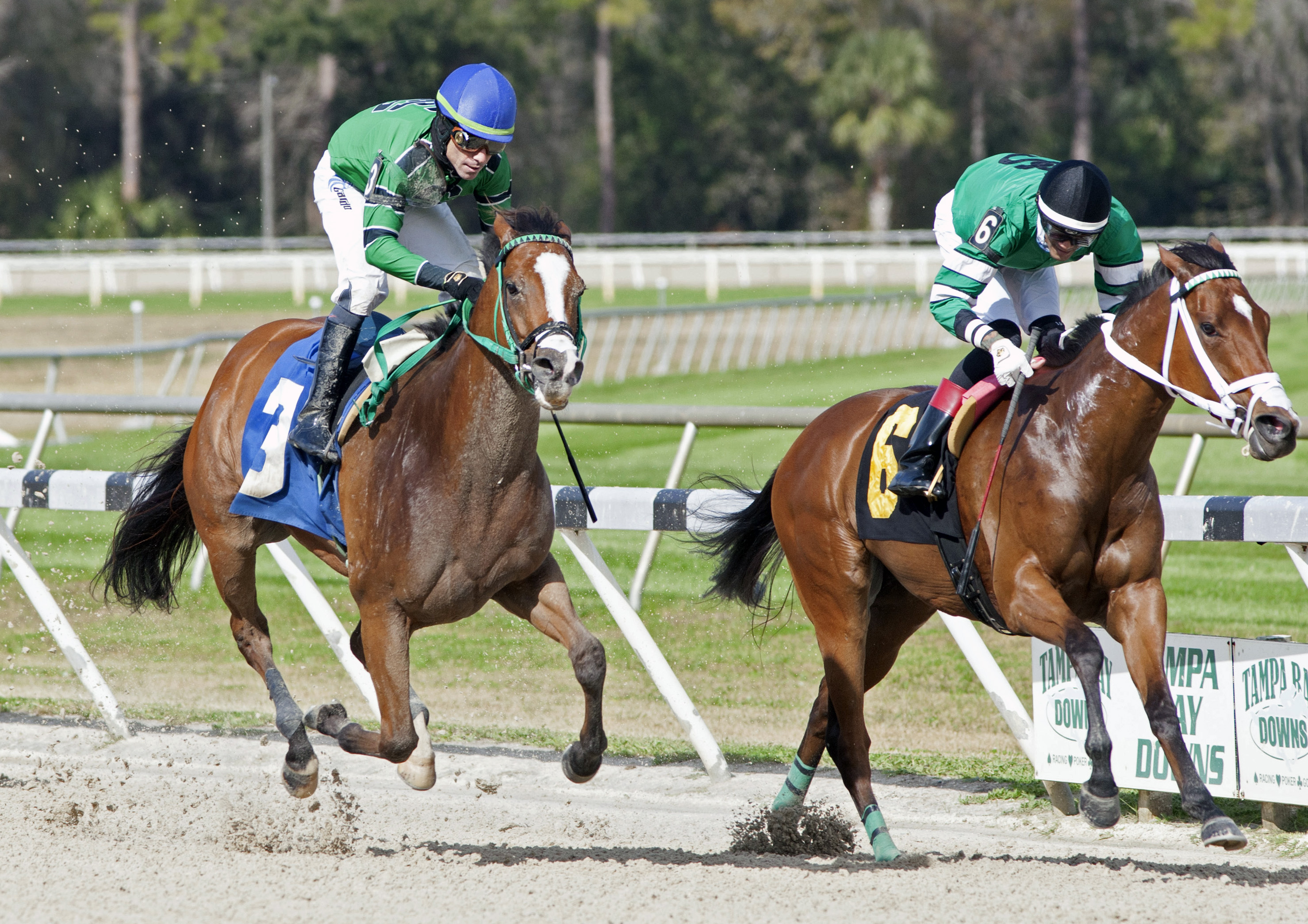 Drop a Hint (3) wins Minaret 2-12-2022