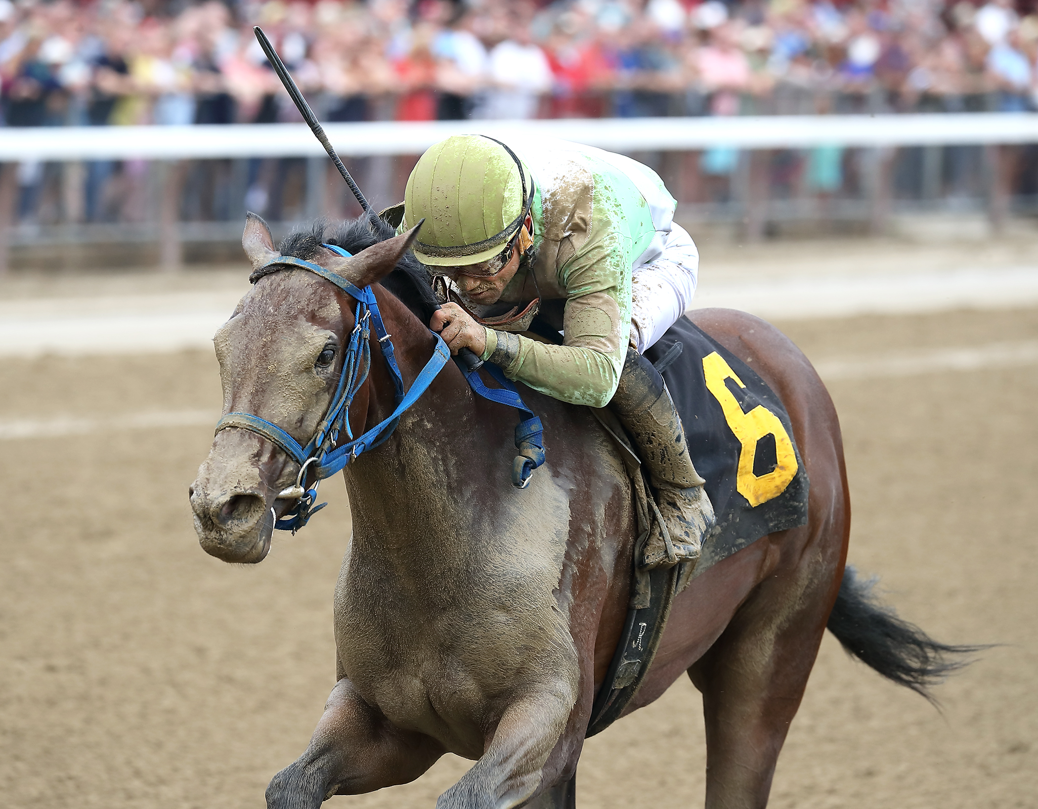 Droselmeyr's Smile wins an Aug. 18 maiden race