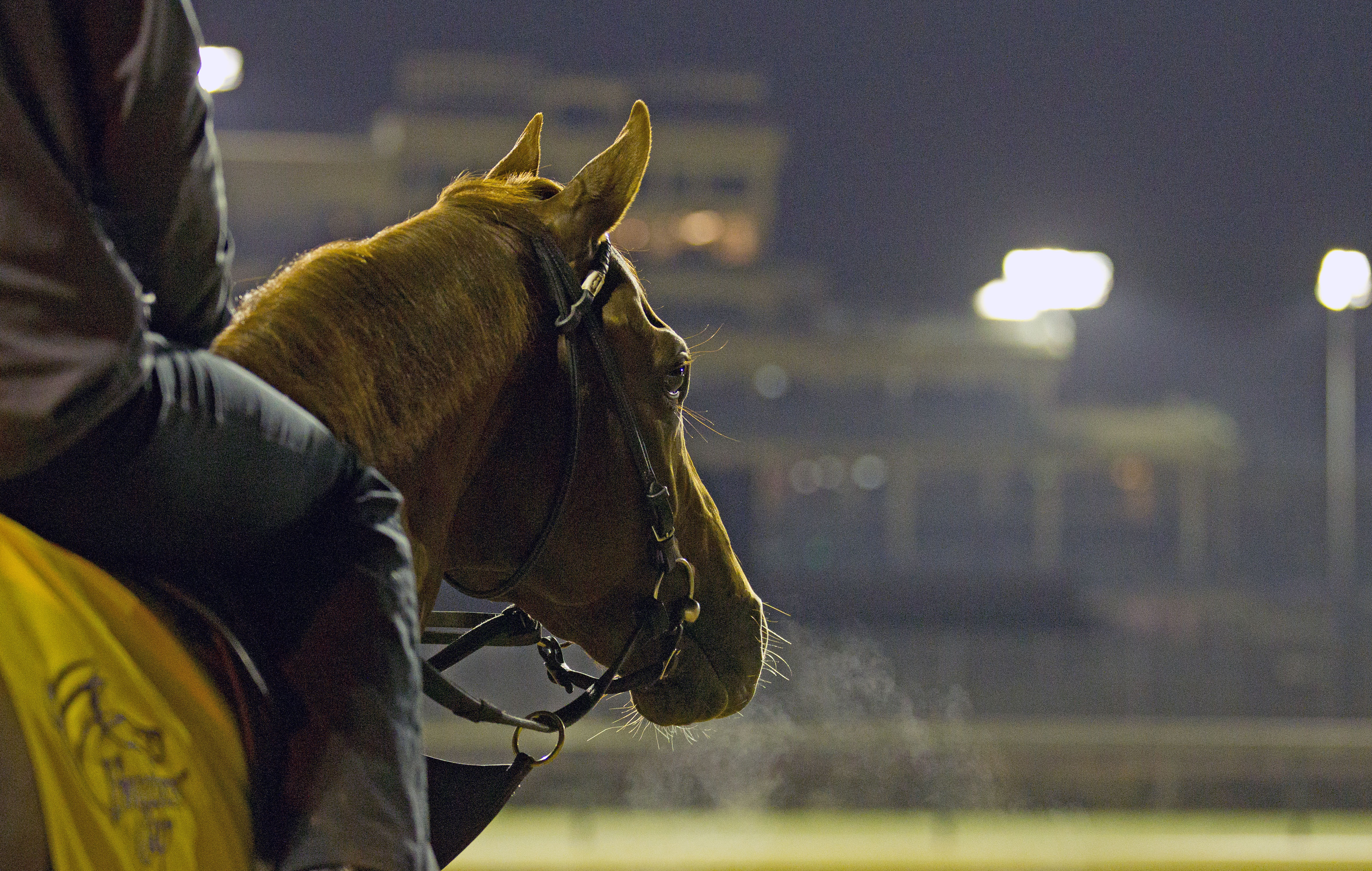 Drosselmeyer at Churchill Downs