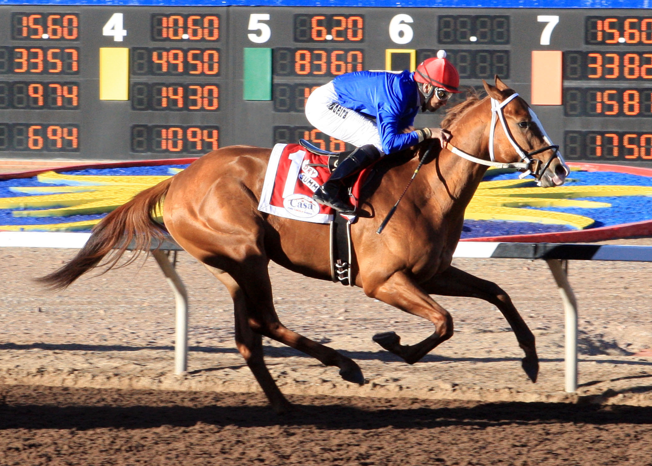 Dry Summer/Mine That Bird Derby