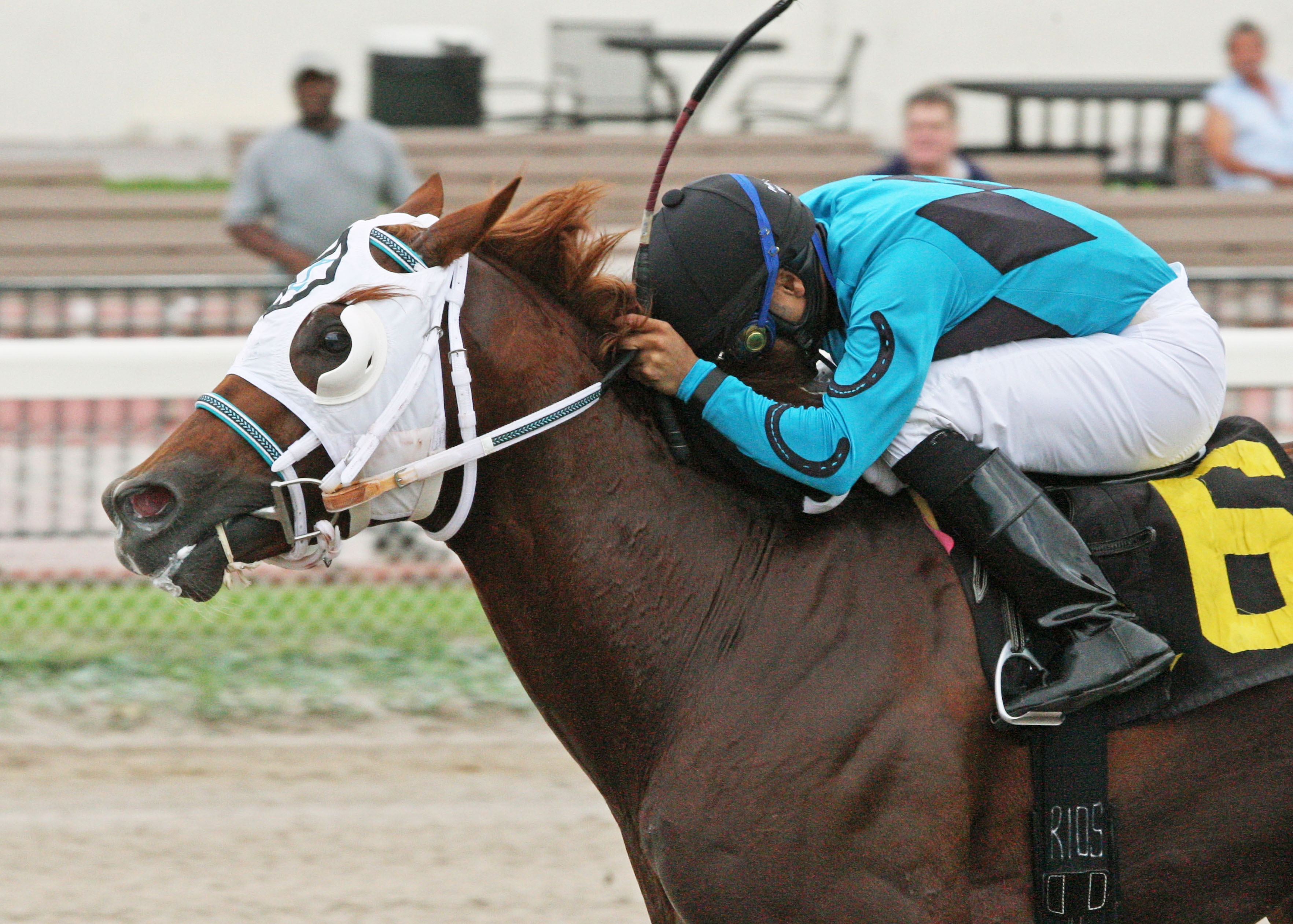 Dual Exhauzt/Kenny Noe Jr. Handicap