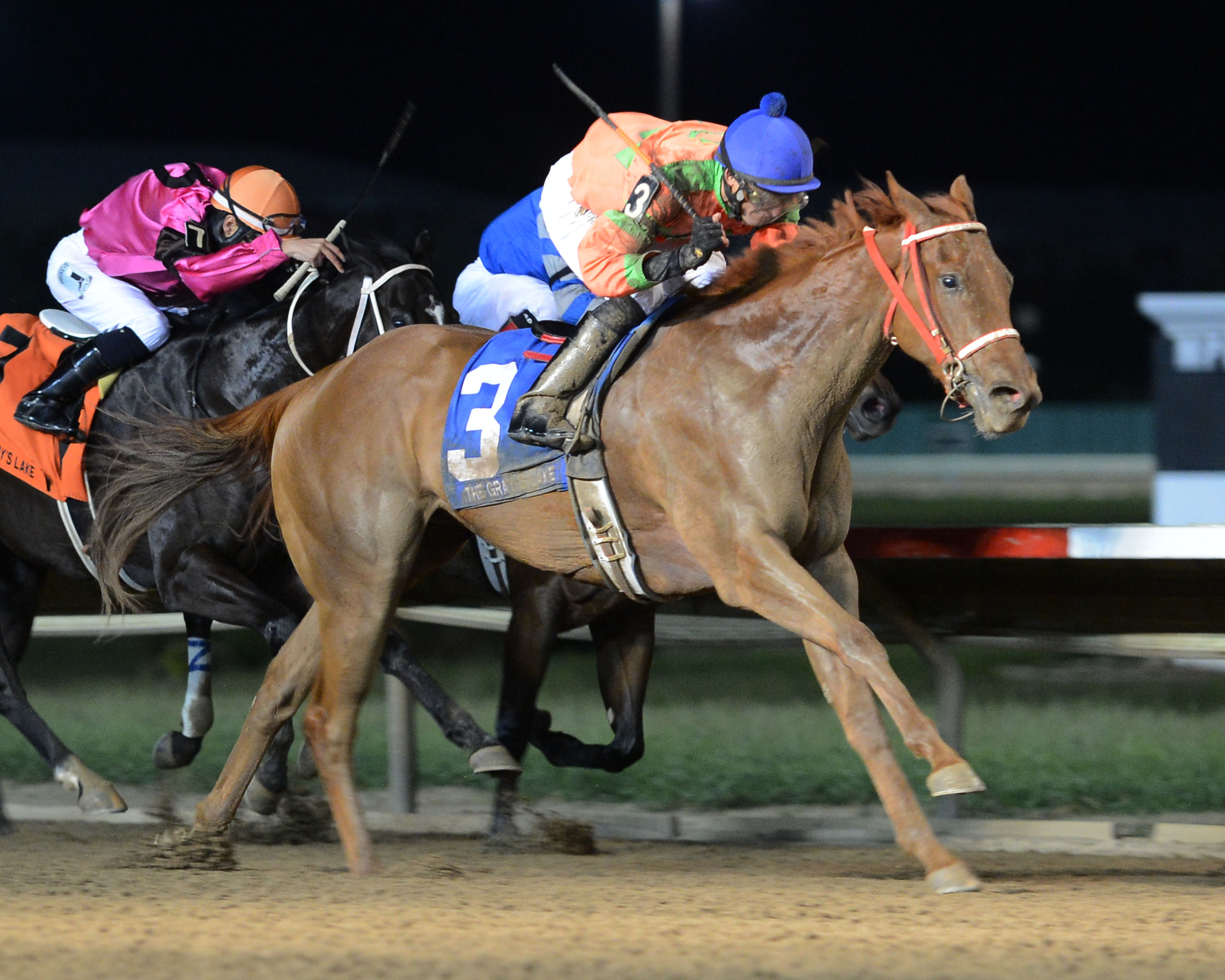 Colerful Bride, Dubai Kowboy win stakes