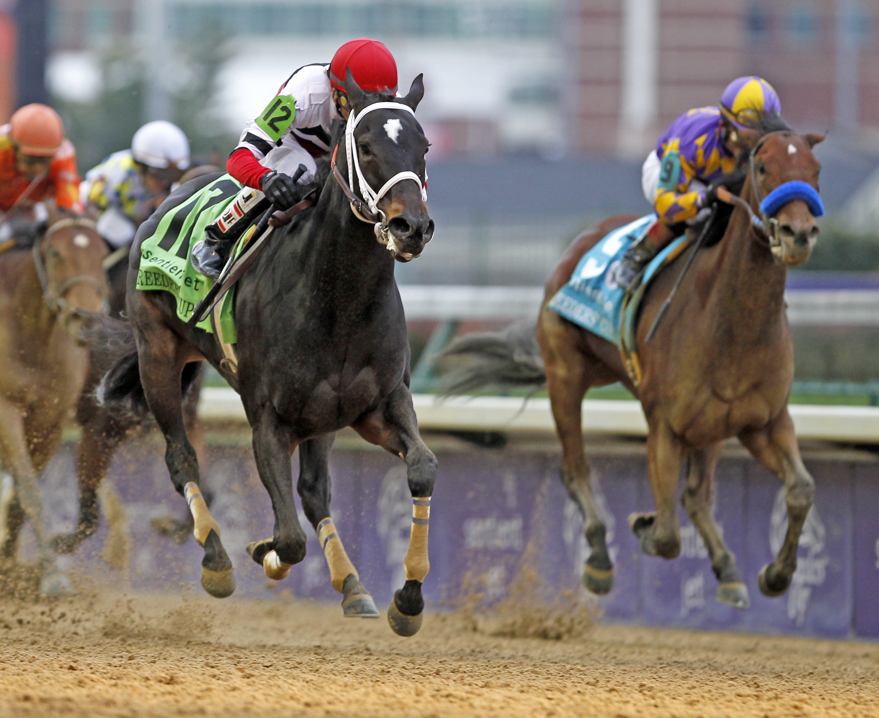Dubai Majesty wins BC FM Sprint