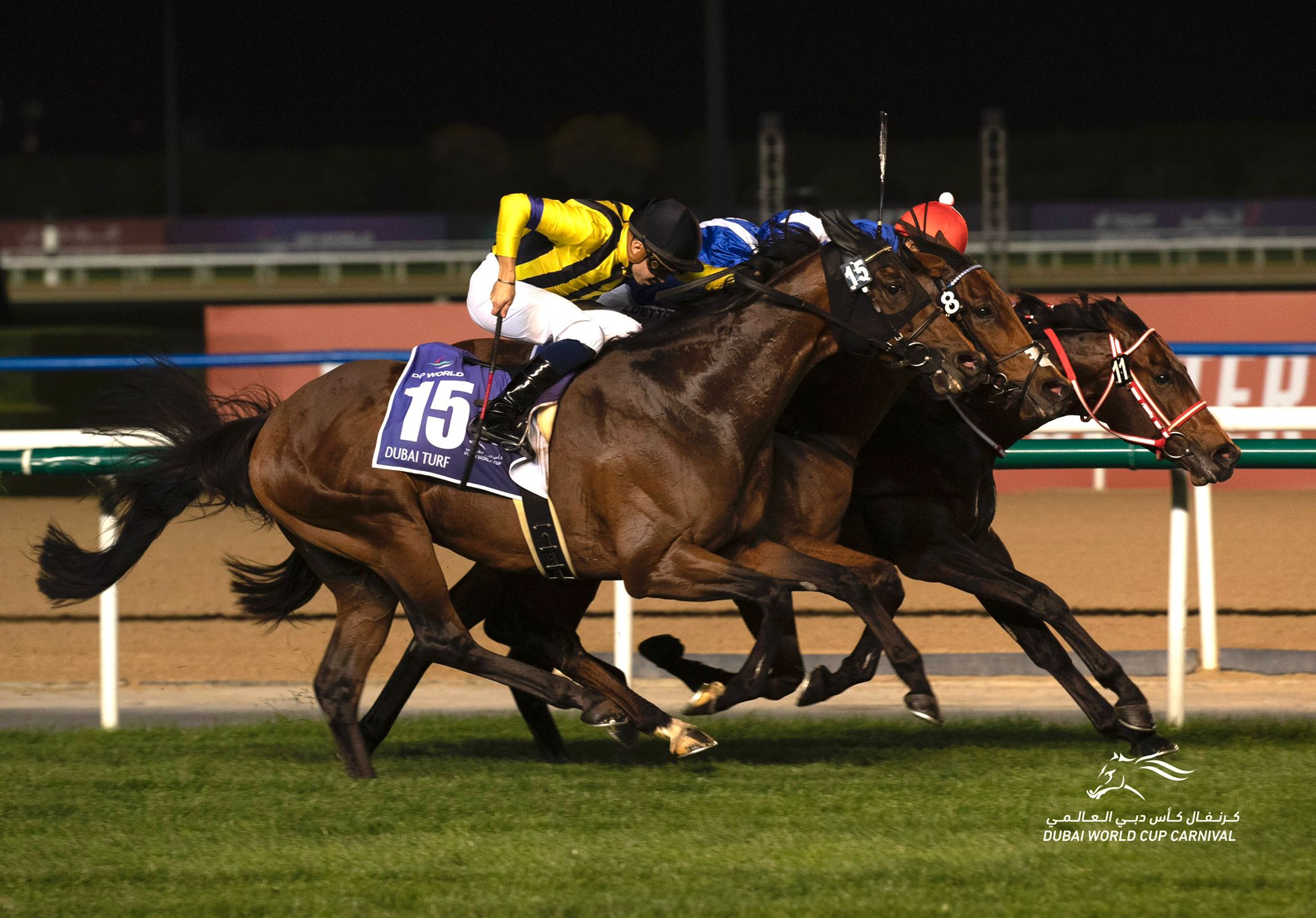 Dubai Turf 2022