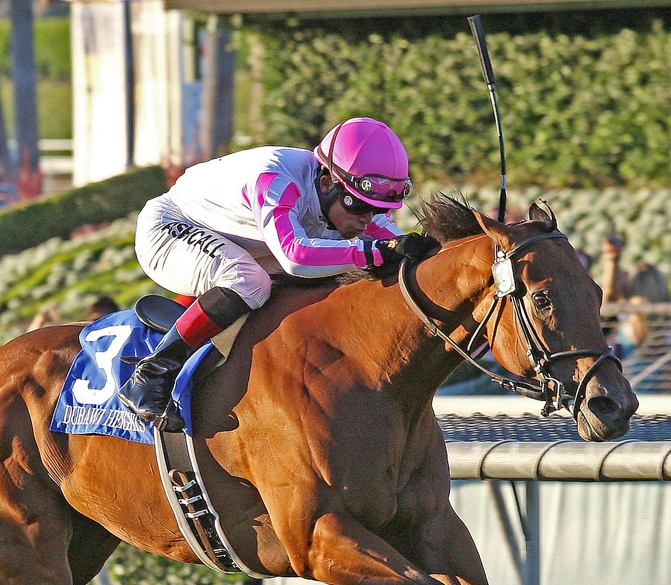 Dubawi Heights