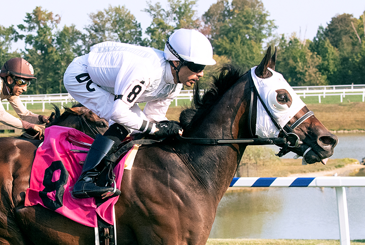 Dubini wins the 2019 Laurel Dash at Laurel Park