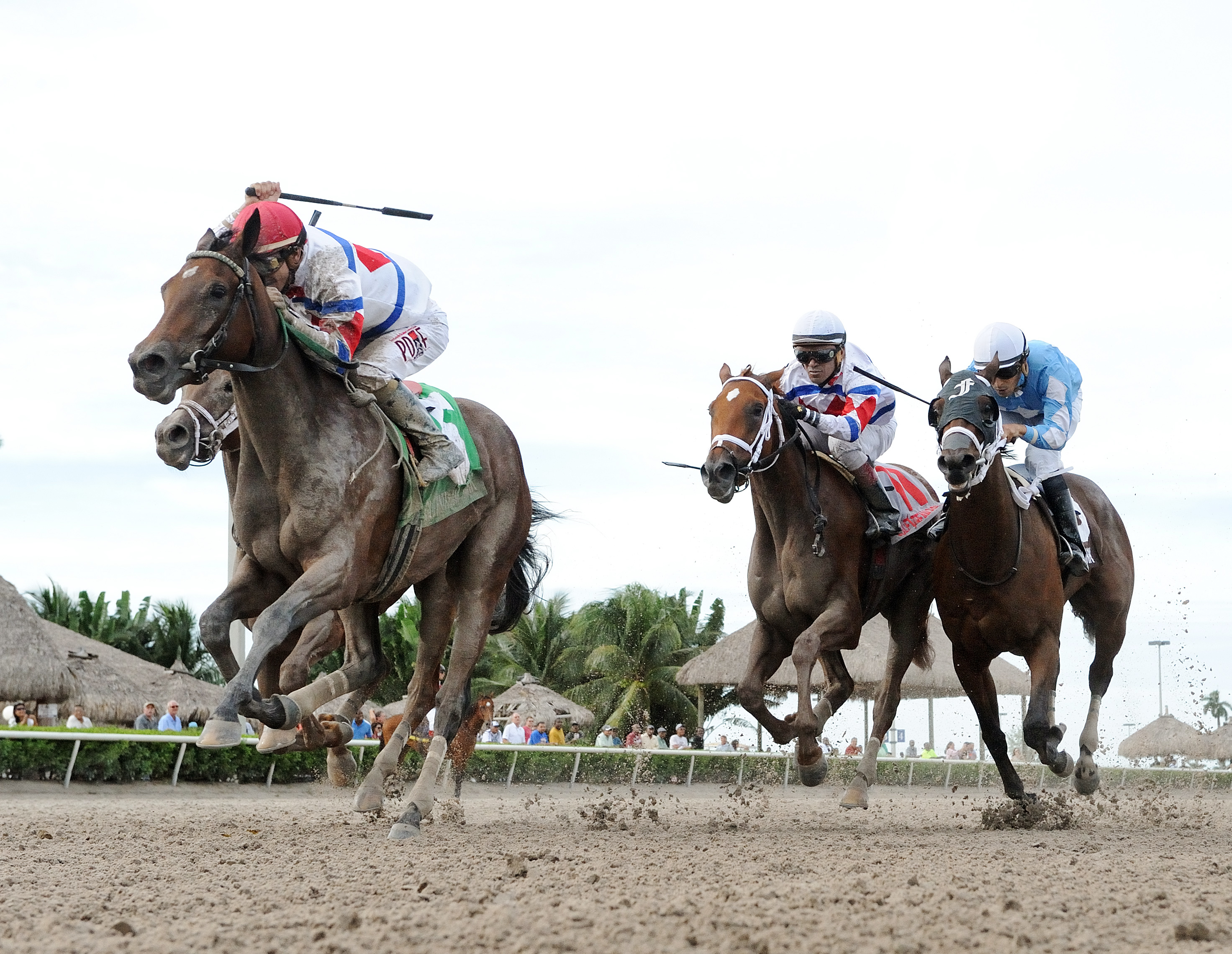 Dude Fantasy wins the My Dear Girl Stakes