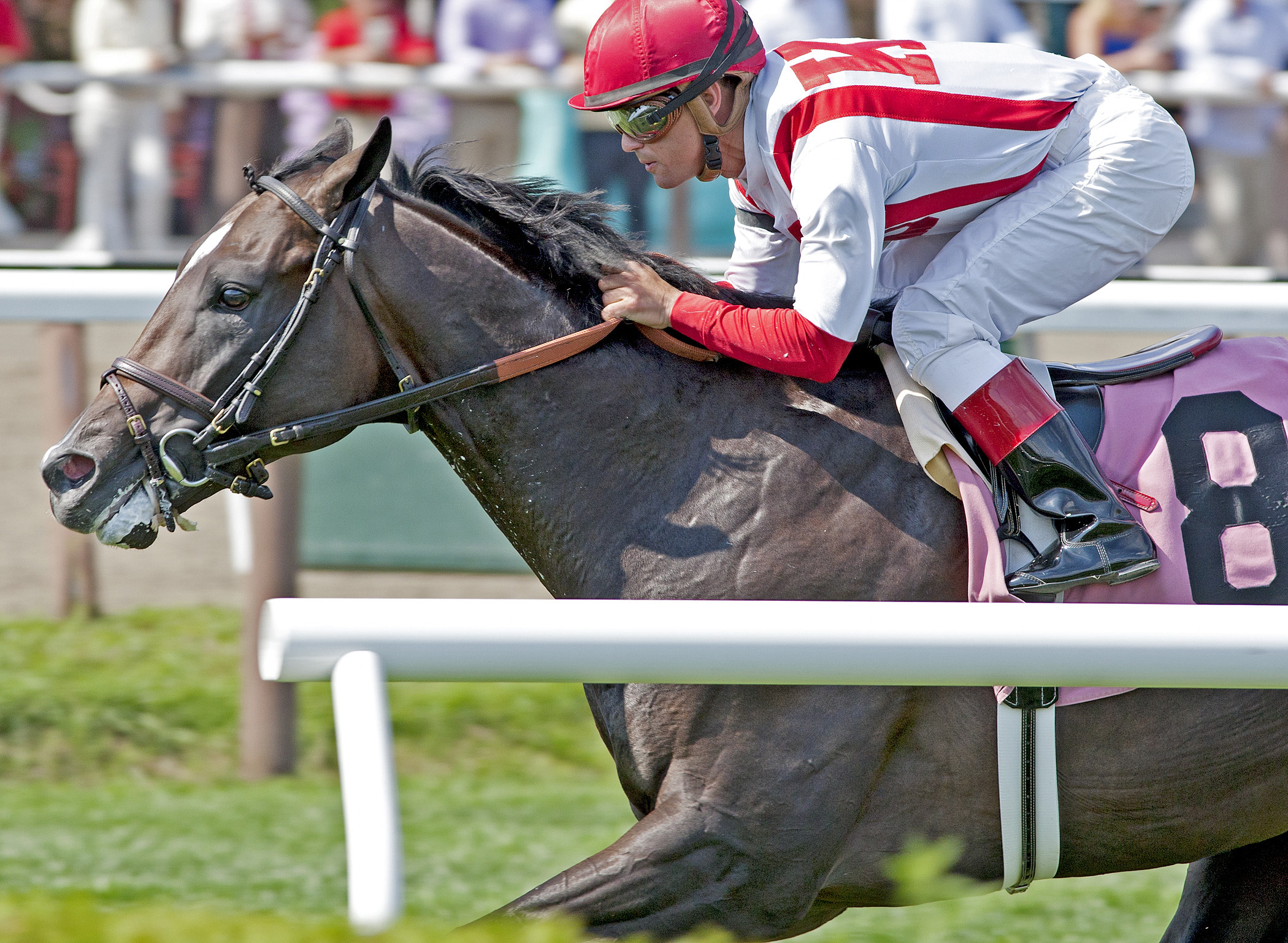 Due Diligence, maiden win